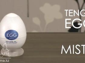 Tenga Egg Misty