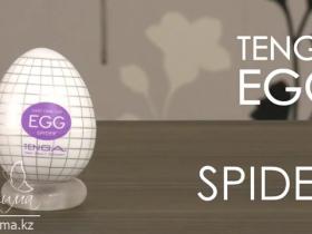 Tenga Egg Spider