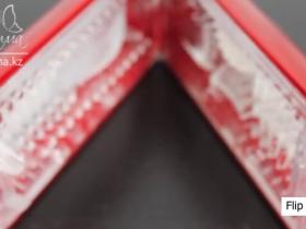 Tenga - Flip Hole Red