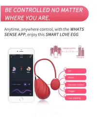 Sundae smart love egg