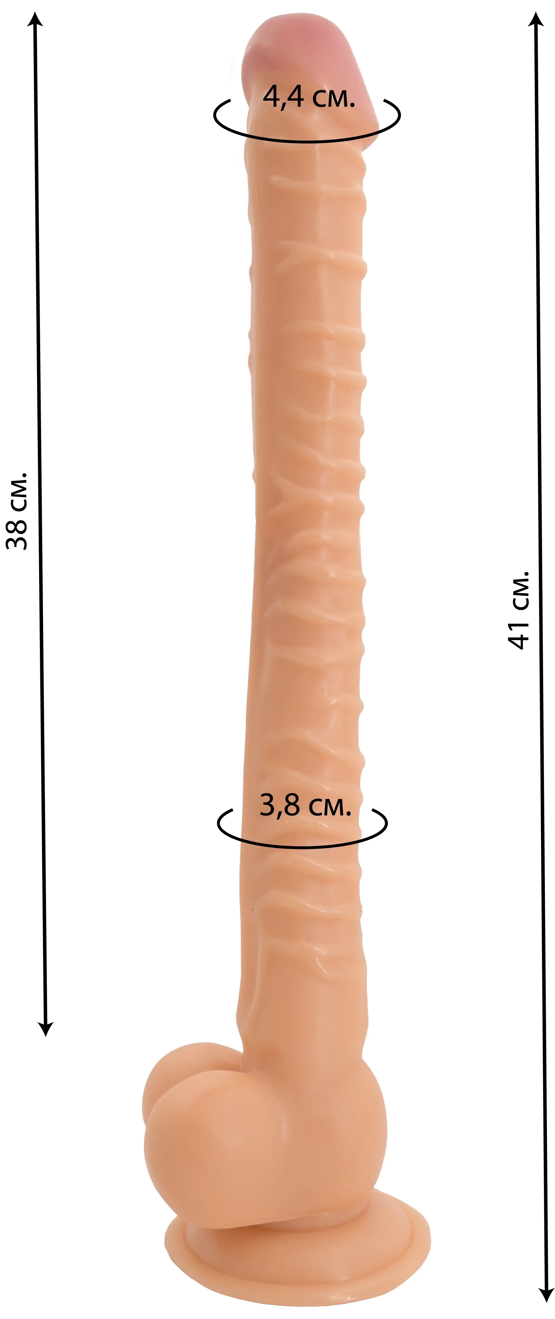Размеры пениса
